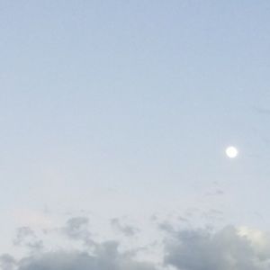 Meet your Posher, Cyri